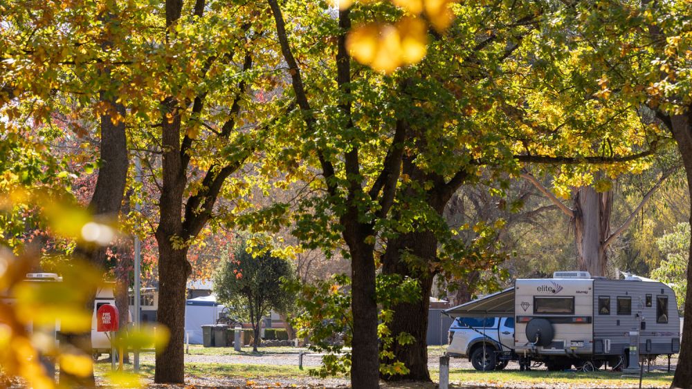 Yea Riverside Caravan Park Powered Caravan, Motorhome and Camping Sites